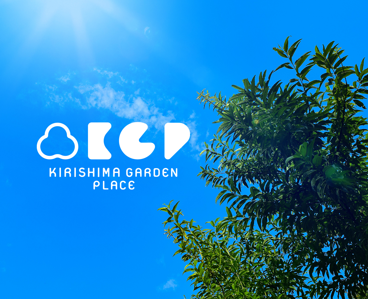 オフィシャルグッズ