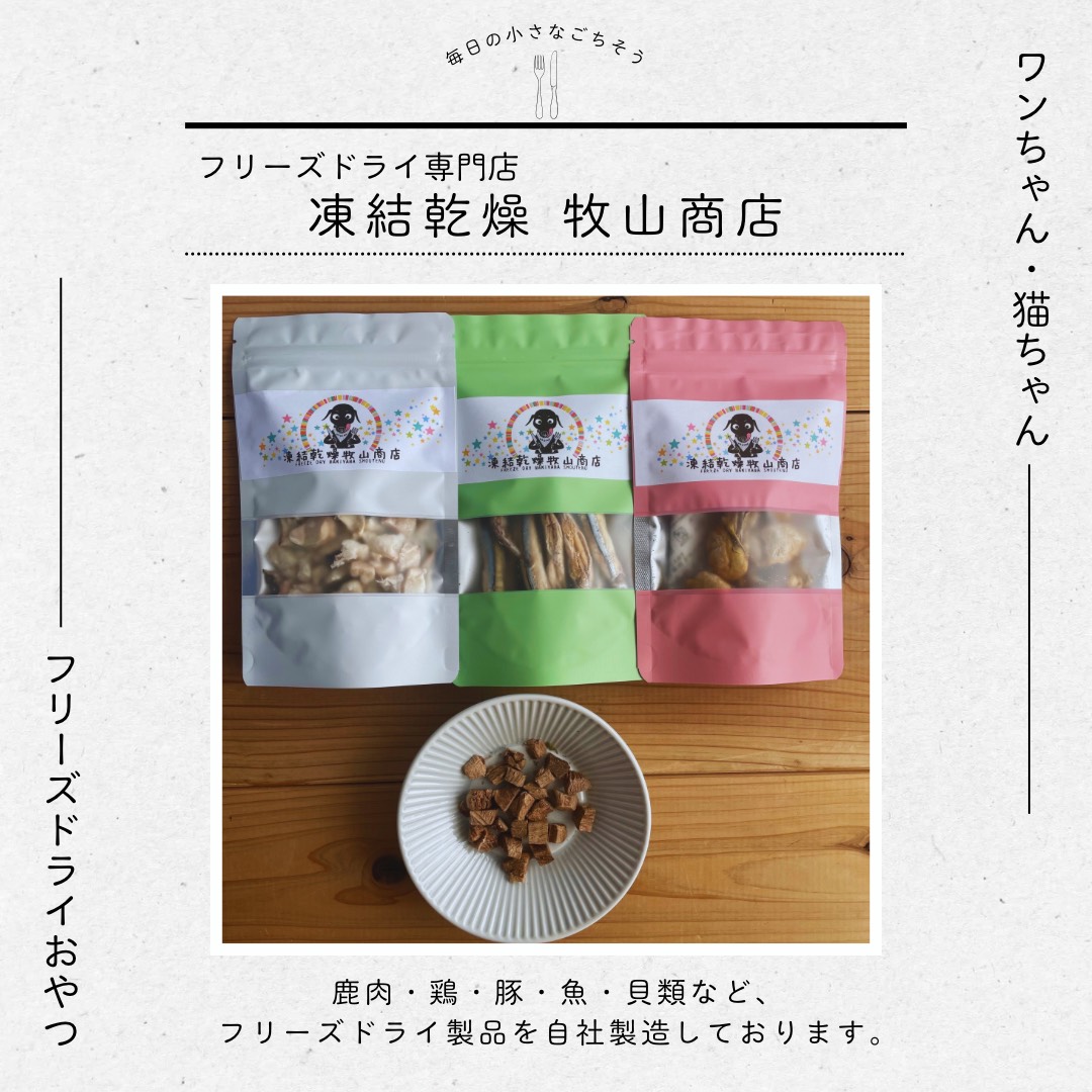 凍結乾燥 牧山商店