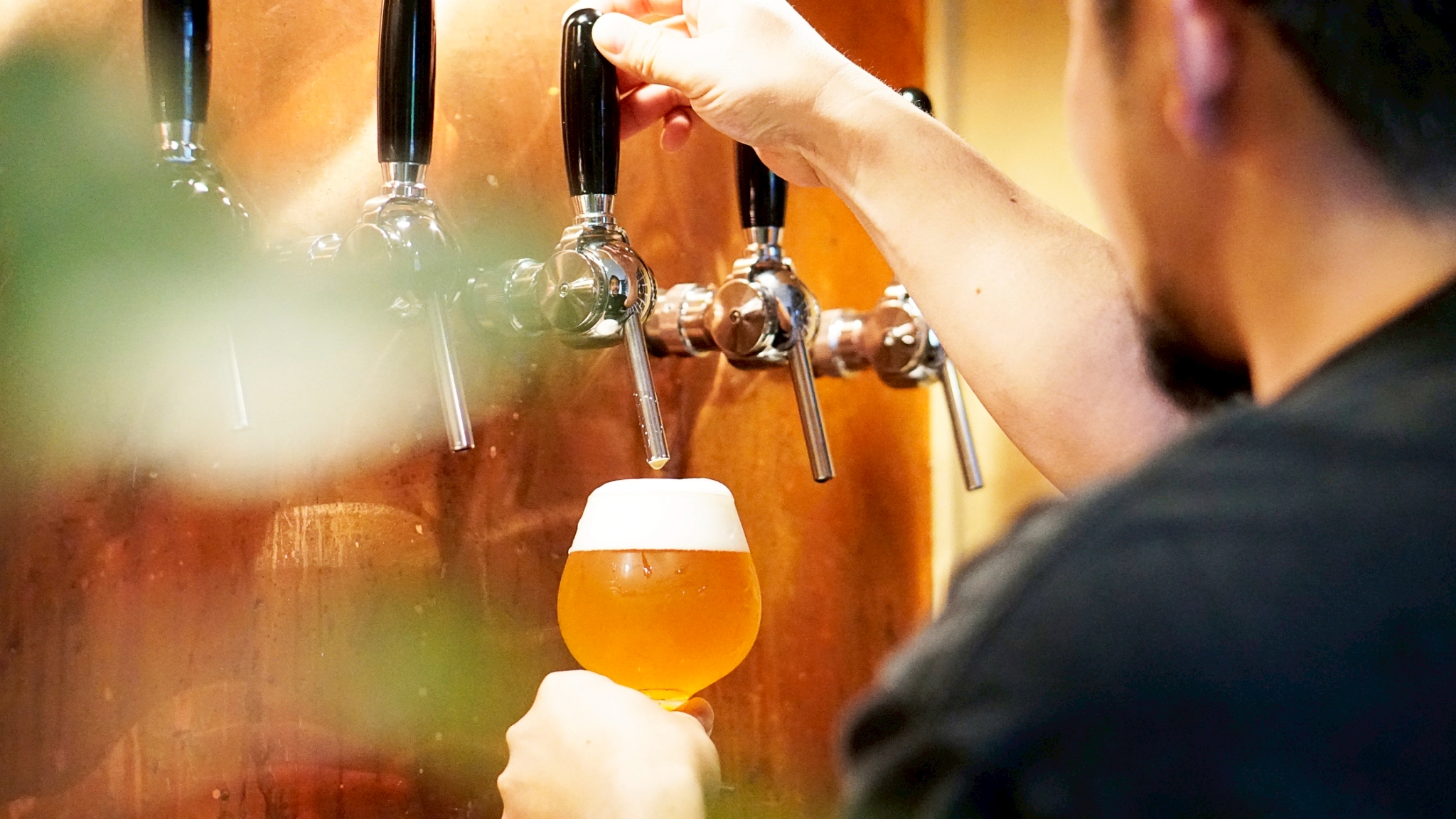 ASH HEAD BREWERY×ネッビア